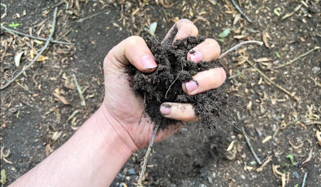 A hand scratching the surface of the earth